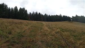 Pohľad na spodnú časť lokality