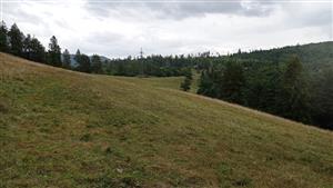 Pohľad na hrebeňovú časť lokality