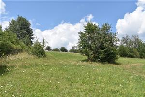 Celkový pohľad na monitorovanú lokalitu.