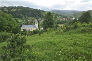 Sukcesia krov na pasených plochách nad cintorínom