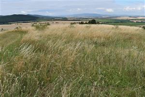 Pohľad na lokalitu zo západu