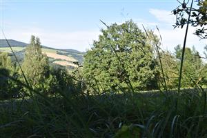 Celkový pohľad na monitorovanú lokalitu.