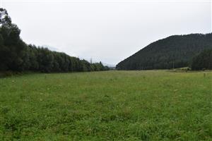 Celkový pohľad na monitorovanú lokalitu.