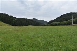 Pohľad na lokalitu v Lopušnej doline zo SV časti mapovaného polygónu.