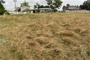 Pohľad na lokalitu smerom na juhovýchod, nedostatočná pastva a hromadenie stariny