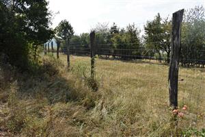 Pohľad na biotop cez plot