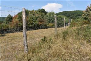 Pohľad na biotop cez plot zvernice
