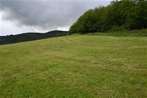 Celkový pohľad na pokosenú TML