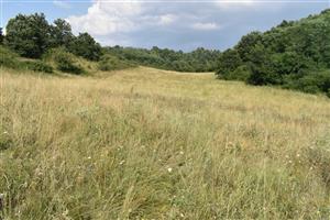 Celkový pohľad na TML