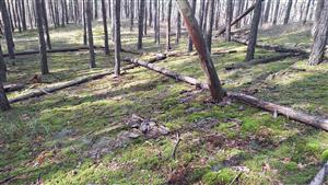 pohľad na lokalitu