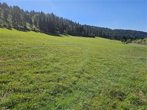 Pohľad na TML od východu.