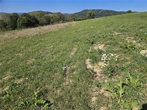 Východná časť TML.