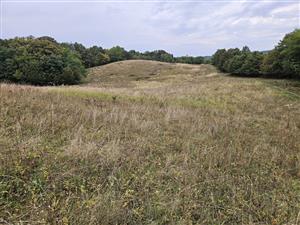 Pohľad na TML z J cípu smerom na sever.