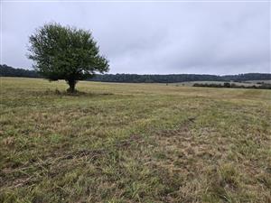 Pohľad na TML z V okraja.