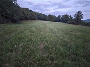 Celkový pohľad na TML.