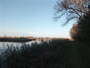 Pohľad na južnú časť TML Veľkoblahovké rybníky. Foto: 21.10.2024.