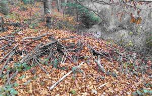 Hrad bobor vodný - Grófske chyžky