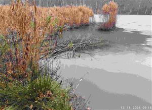 TML_CastFibe_178 nahromadene zasoby