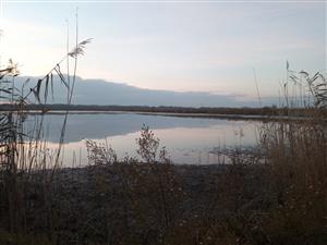 Pohľad na časť  TML Číčovské rybníky, foto: 14.11.2024, J.Lengyel.