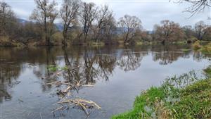 biotop bobra Váh Sučany