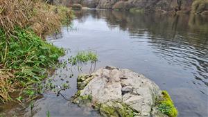 pobytové znaky vydry riečnej - trus a biotop