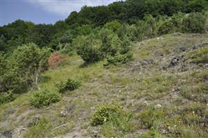 Mozaika biotopov Kr2 a Tr5