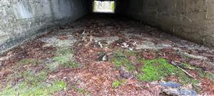 Početný trus vydry vo výtokovom kanáli pod hrádzou Morského oka v čase nízkej hladiny vody