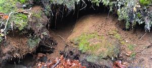 Miesto vo svahu, kde chodí vydra požierať potravu a pravdepodobne aj oddychovať