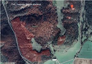Mapka TML_PulsSubs_060 s približným výskytom a počtami kvitnúcich jedincov Pulsatilla subslavica