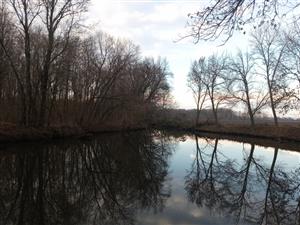 Pohľad na časť TML Veľký les. JV jazierko. Foto: 8.12.2024, J.Lengyel.