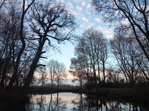 Pohľad na časť TML Veľký les, JV jazierko. Foto: 8.12.2024, J.Lengyel