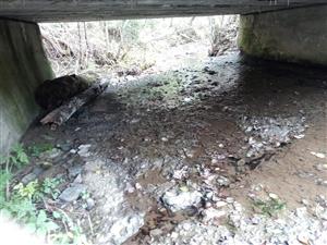 most - pre vydru nepriechodný