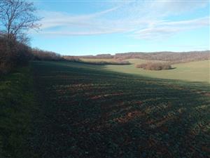 Pohľad na časť TML Kamenica nad Hronom, Ipeľská pahorkatina. Foto: 17.12.2024, J.Lengyel.