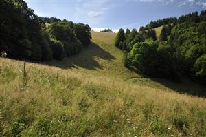 Celkový pohľad