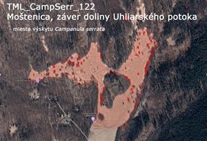 Mapka s výskytom jedincov Campanula serrata na TML