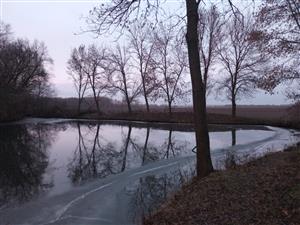 Pohľad na časť TML Veľký les, JV jazierko, foto: 9.1.2025 (J.Lengyel).