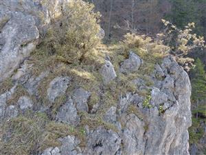 Charakter TML - vrchol skalnej veže