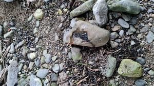 pobytové znaky vydry riečnej