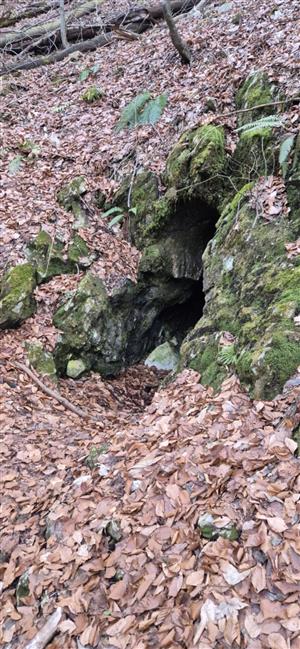 Vchod do jaskyne