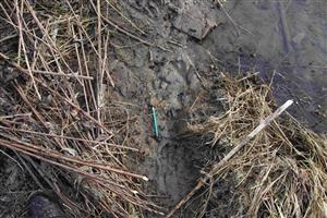 Ostatné pobytové znaky - odtlačky láb