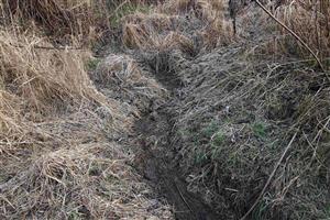 Ostatné pobytové znaky - chodník