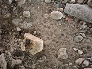 trus pod premostením cesty 66