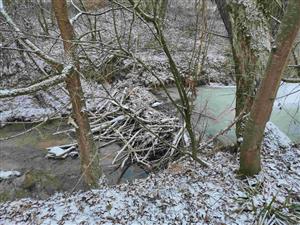 Ostatné pobytové znaky - hať