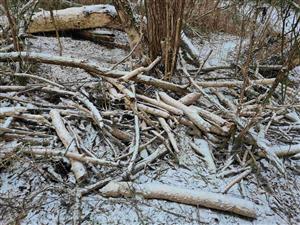Ostatné pobytové znaky - nahromadené zásoby