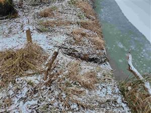 Ostatné pobytové znaky - chodník