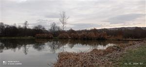 rybníky Levočské Lúky_TML_CastFibe_060