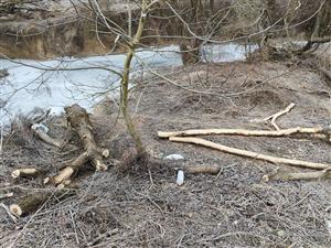 dokonaný ohryz, stolec 