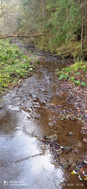 Teplický Brusník_TML_LutrLutr_065