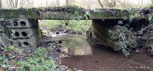 starší most na začiatku TML_LutrLutr_065