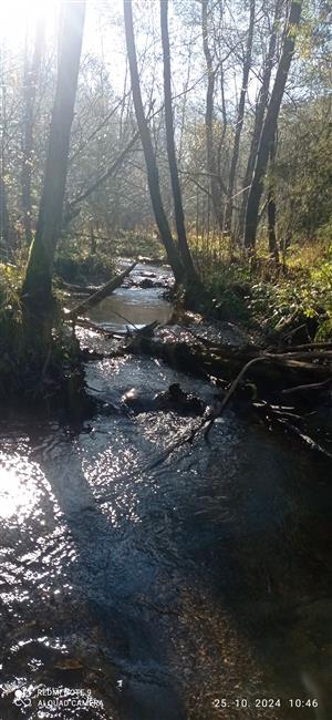TML_LutrLutr_065 Teplický Brusník